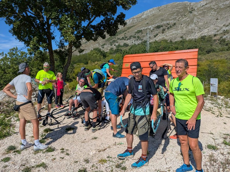 Panoramica del pubblico