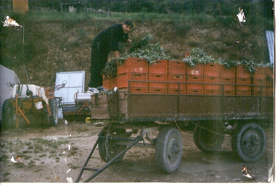 Panoramica del pubblico
