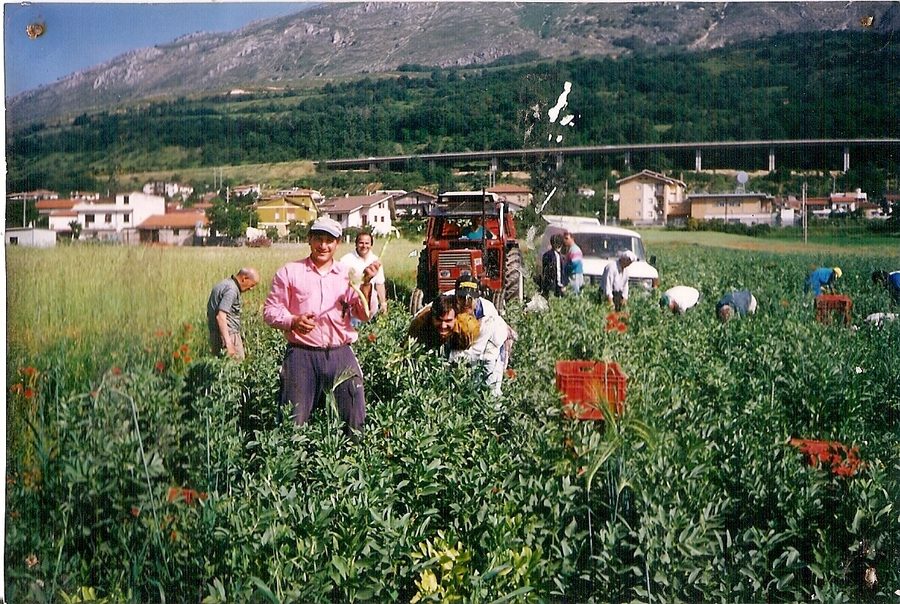 Momento della benedizione