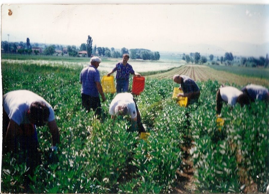 Panoramica del pubblico