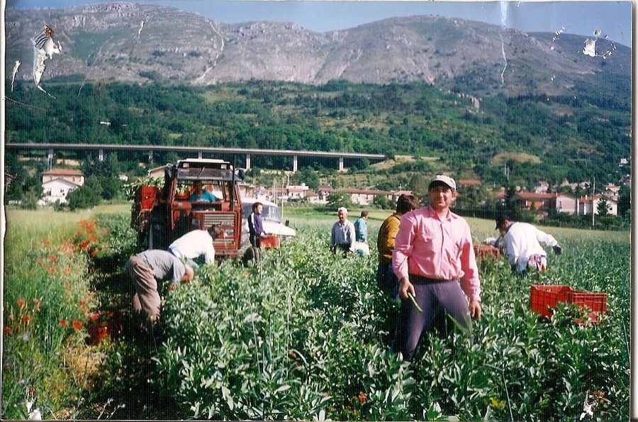 Dettaglio della panchina