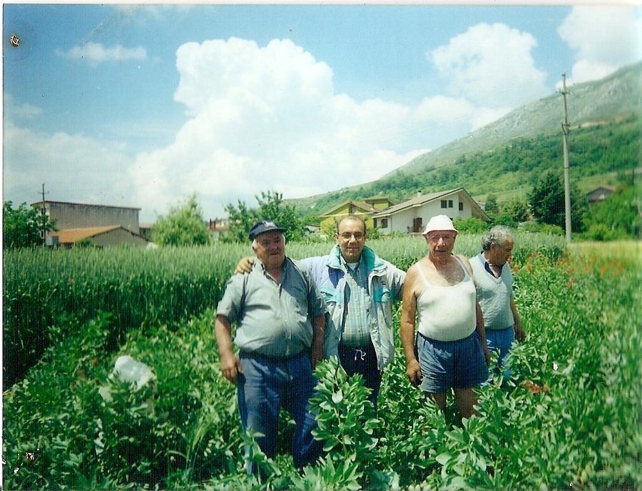 Panoramica del pubblico