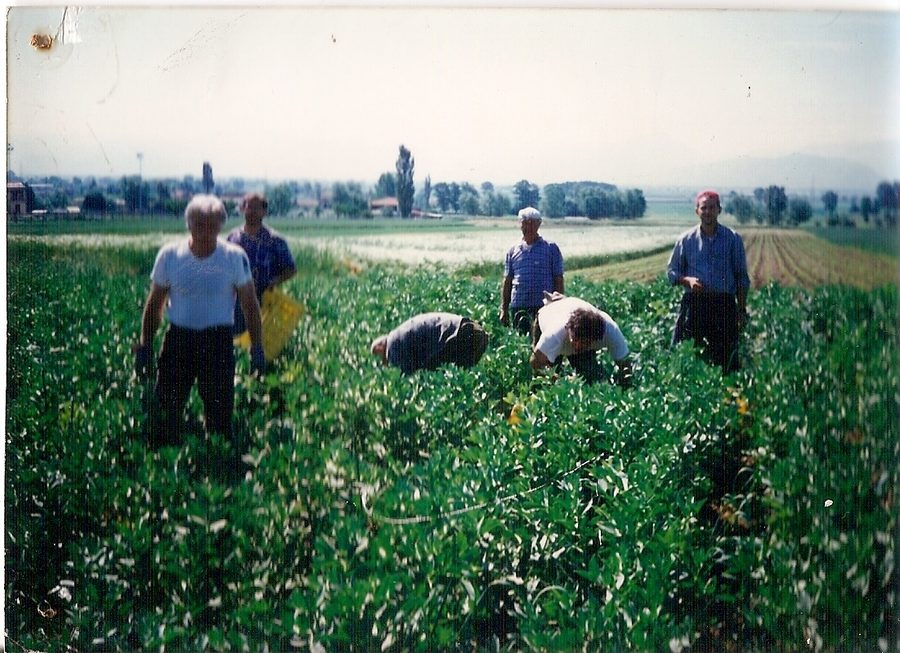 Momento della benedizione