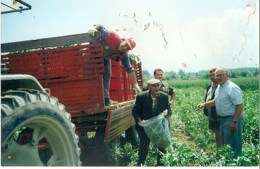 Dettaglio della panchina