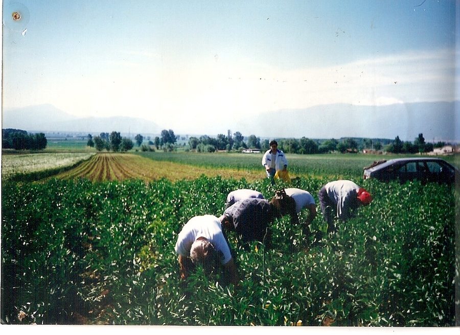Momento della benedizione
