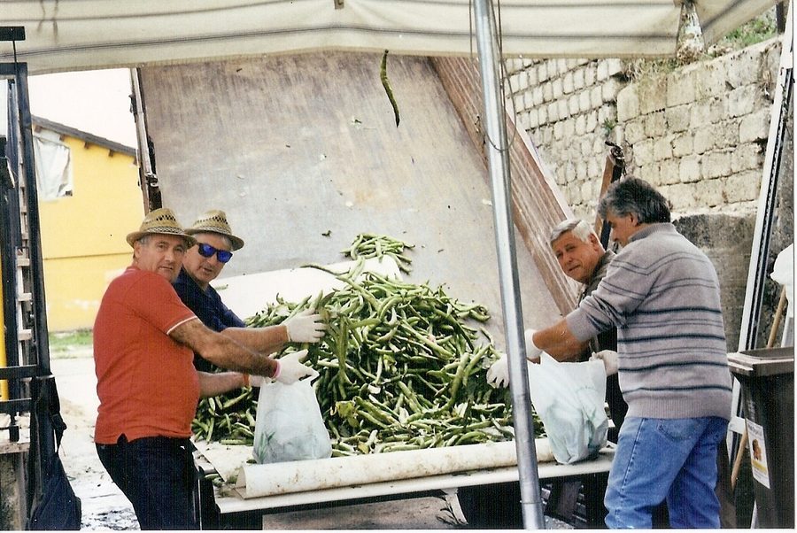 Panoramica del pubblico
