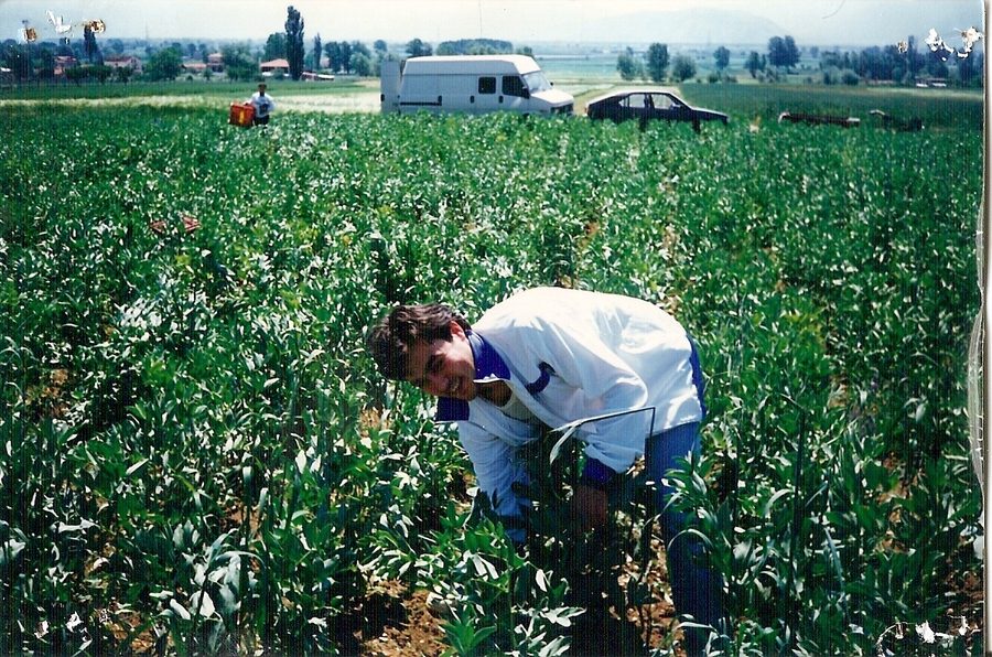 Panoramica del pubblico