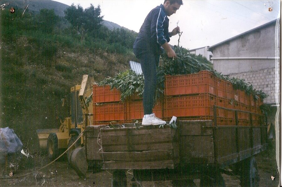 Panoramica del pubblico