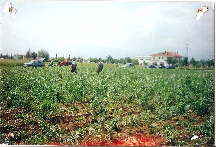 Momento della benedizione